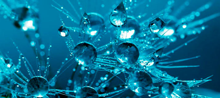 Gotas del Saber. Programas CMBQ Radio Enciclopedia